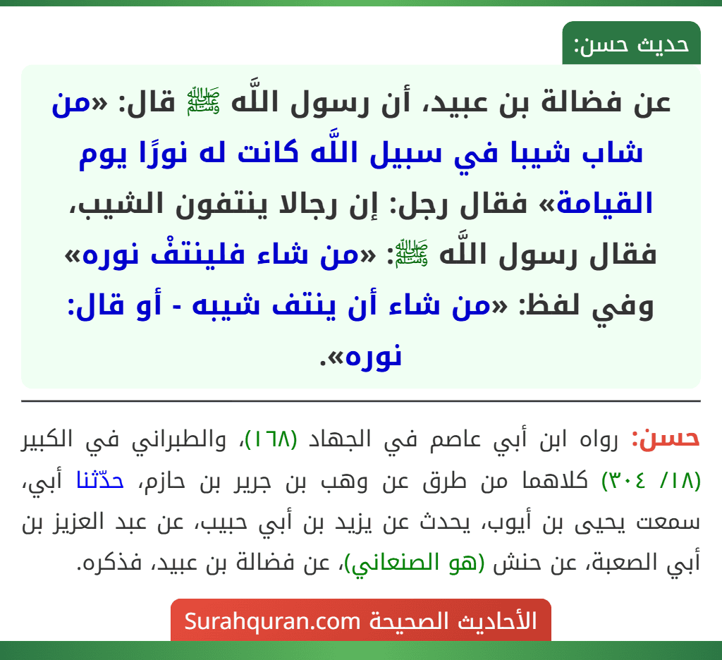 عن فضالة بن عبيد، أن رسول اللَّه ﷺ قال: «من شاب شيبا في سبيل اللَّه كانت له نورًا يوم القيامة» فقال رجل: إن رجالا ينتفون الشيب، فقال رسول اللَّه ﷺ: «من شاء فلينتفْ نوره»
وفي لفظ: «من شاء أن ينتف شيبه - أو قال: نوره». عن فضالة بن عبيد، أن رسول اللَّه ﷺ قال: «من شاب شيبا في سبيل اللَّه كانت له نورًا يوم القيامة» فقال رجل: إن رجالا ينتفون الشيب، فقال رسول اللَّه ﷺ: «من شاء فلينتفْ نوره»
وفي لفظ: «من شاء أن ينتف شيبه - أو قال: نوره».