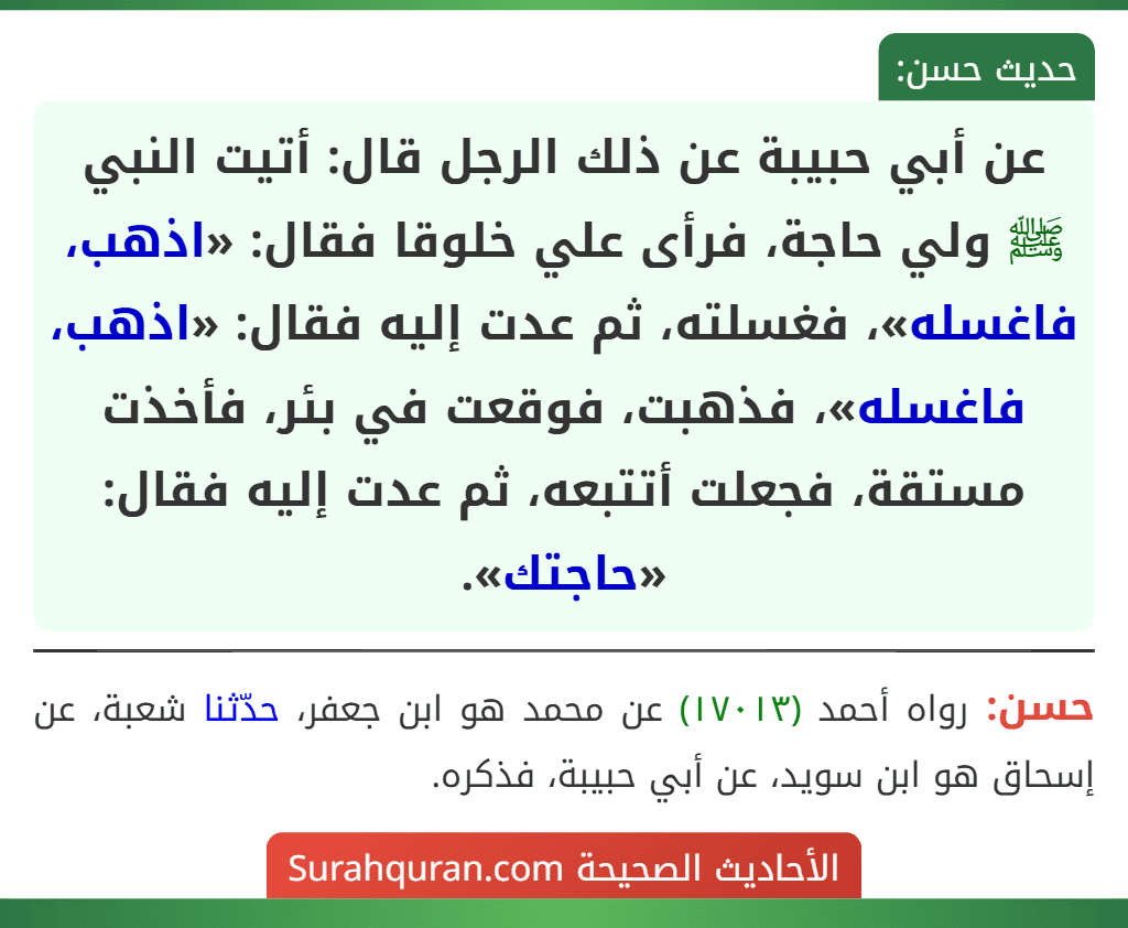 عن أبي حبيبة عن ذلك الرجل قال: أتيت النبي ﷺ ولي حاجة، فرأى علي خلوقا فقال: «اذهب، فاغسله»، فغسلته، ثم عدت إليه فقال: «اذهب، فاغسله»، فذهبت، فوقعت في بئر، فأخذت مستقة، فجعلت أتتبعه، ثم عدت إليه فقال: «حاجتك».