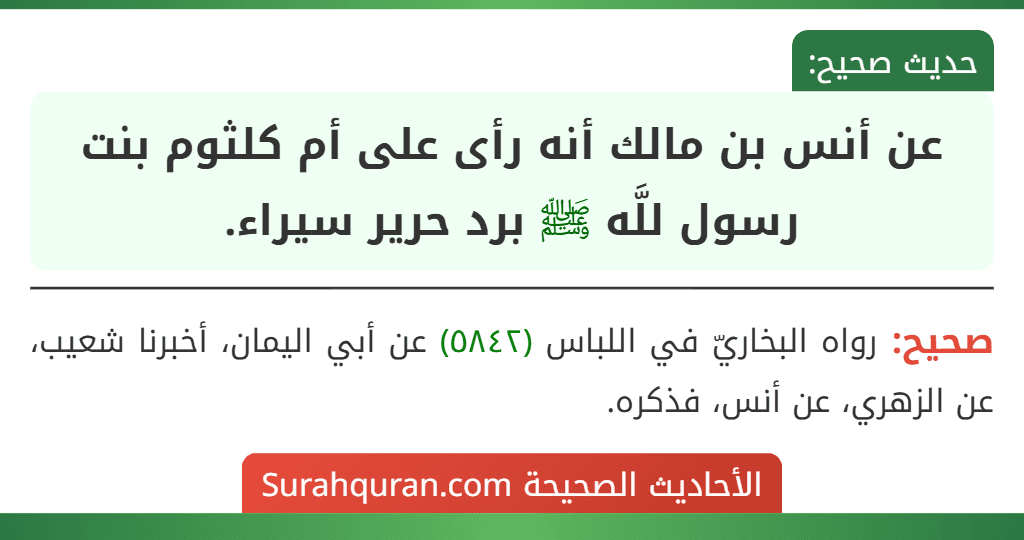 عن أنس بن مالك أنه رأى على أم كلثوم بنت رسول للَّه ﷺ برد حرير سيراء.