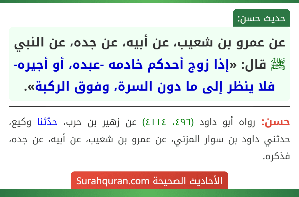 عن عمرو بن شعيب، عن أبيه، عن جده، عن النبي ﷺ قال: «إذا زوج أحدكم خادمه -عبده، أو أجيره- فلا ينظر إلى ما دون السرة، وفوق الركبة».