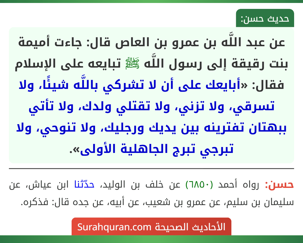 عن عبد اللَّه بن عمرو بن العاص قال: جاءت أميمة بنت رقيقة إلى رسول اللَّه ﷺ تبايعه على الإسلام فقال: «أبايعك على أن لا تشركي باللَّه شيئًا، ولا تسرقي، ولا تزني، ولا تقتلي ولدك، ولا تأتي ببهتان تفترينه بين يديك ورجليك، ولا تنوحي، ولا تبرجي تبرج الجاهلية الأولى». عن عبد اللَّه بن عمرو بن العاص قال: جاءت أميمة بنت رقيقة إلى رسول اللَّه ﷺ تبايعه على الإسلام فقال: «أبايعك على أن لا تشركي باللَّه شيئًا، ولا تسرقي، ولا تزني، ولا تقتلي ولدك، ولا تأتي ببهتان تفترينه بين يديك ورجليك، ولا تنوحي، ولا تبرجي تبرج الجاهلية الأولى».