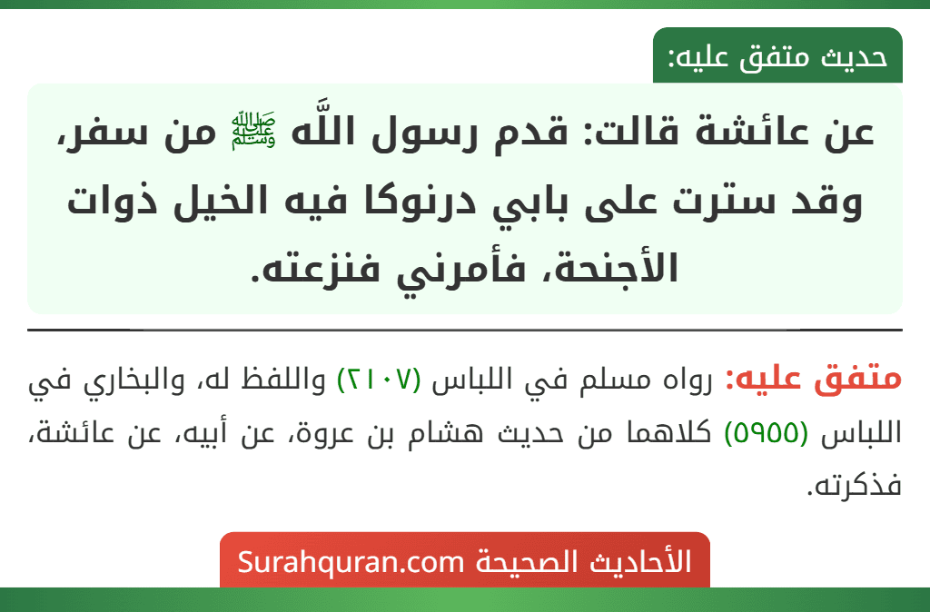 عن عائشة قالت: قدم رسول اللَّه ﷺ من سفر، وقد سترت على بابي درنوكا فيه الخيل ذوات الأجنحة، فأمرني فنزعته. عن عائشة قالت: قدم رسول اللَّه ﷺ من سفر، وقد سترت على بابي درنوكا فيه الخيل ذوات الأجنحة، فأمرني فنزعته.