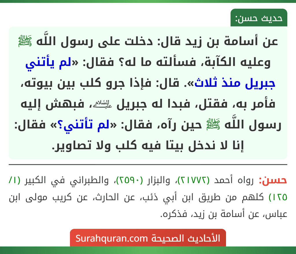 عن أسامة بن زيد قال: دخلت على رسول اللَّه ﷺ وعليه الكآبة، فسألته ما له؟ فقال: «لم يأتني جبريل منذ ثلاث». قال: فإذا جرو كلب بين بيوته، فأمر به، فقتل، فبدا له جبريل ﵇، فبهش إليه رسول اللَّه ﷺ حين رآه، فقال: «لم تأتني؟» فقال: إنا لا ندخل بيتا فيه كلب ولا تصاوير.