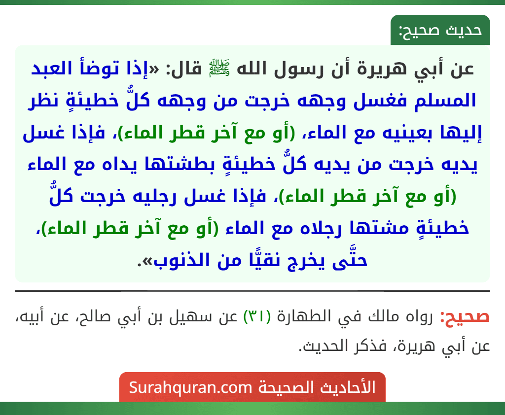 عن أبي هريرة أن رسول الله ﷺ قال: «إذا توضأ العبد المسلم فغسل وجهه خرجت من وجهه كلُّ خطيئةٍ نظر إليها بعينيه مع الماء، (أو مع آخر قطر الماء)، فإذا غسل يديه خرجت من يديه كلُّ خطيئةٍ بطشتها يداه مع الماء (أو مع آخر قطر الماء)، فإذا غسل رجليه خرجت كلُّ خطيئةٍ مشتها رجلاه مع الماء (أو مع آخر قطر الماء)، حتَّى يخرج نقيًّا من الذنوب».