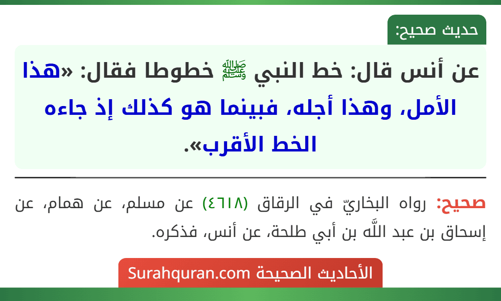عن أنس قال: خط النبي ﷺ خطوطا فقال: «هذا الأمل، وهذا أجله، فبينما هو كذلك إذ جاءه الخط الأقرب». عن أنس قال: خط النبي ﷺ خطوطا فقال: «هذا الأمل، وهذا أجله، فبينما هو كذلك إذ جاءه الخط الأقرب».