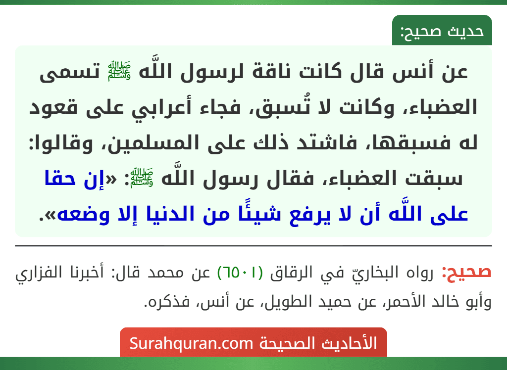 عن أنس قال كانت ناقة لرسول اللَّه ﷺ تسمى العضباء، وكانت لا تُسبق، فجاء أعرابي على قعود له فسبقها، فاشتد ذلك على المسلمين، وقالوا: سبقت العضباء، فقال رسول اللَّه ﷺ: «إن حقا على اللَّه أن لا يرفع شيئًا من الدنيا إلا وضعه». عن أنس قال كانت ناقة لرسول اللَّه ﷺ تسمى العضباء، وكانت لا تُسبق، فجاء أعرابي على قعود له فسبقها، فاشتد ذلك على المسلمين، وقالوا: سبقت العضباء، فقال رسول اللَّه ﷺ: «إن حقا على اللَّه أن لا يرفع شيئًا من الدنيا إلا وضعه».