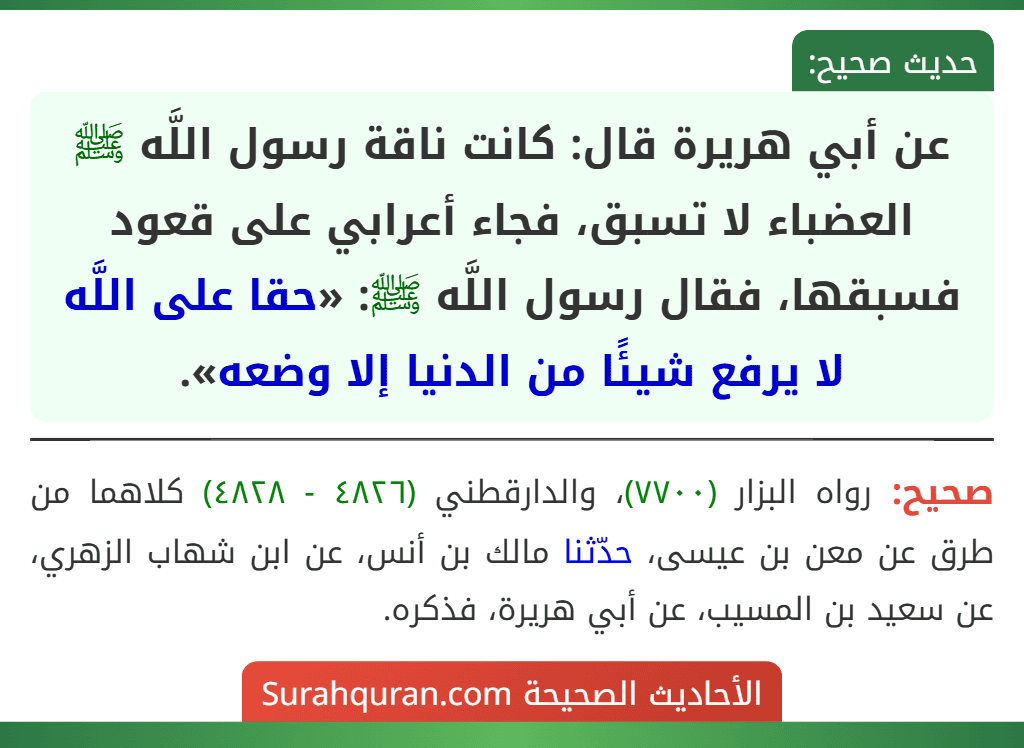 عن أبي هريرة قال: كانت ناقة رسول اللَّه ﷺ العضباء لا تسبق، فجاء أعرابي على قعود فسبقها، فقال رسول اللَّه ﷺ: «حقا على اللَّه لا يرفع شيئًا من الدنيا إلا وضعه».