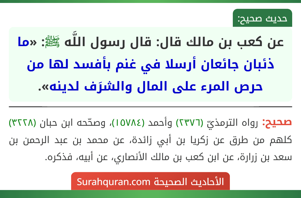 عن كعب بن مالك قال: قال رسول اللَّه ﷺ: «ما ذئبان جائعان أرسلا في غنم بأفسد لها من حرص المرء على المال والشرَف لدينه». عن كعب بن مالك قال: قال رسول اللَّه ﷺ: «ما ذئبان جائعان أرسلا في غنم بأفسد لها من حرص المرء على المال والشرَف لدينه».