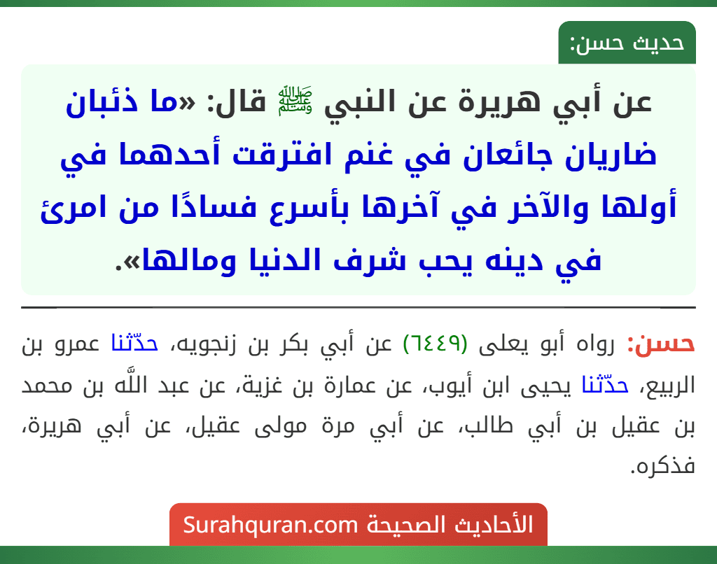 عن أبي هريرة عن النبي ﷺ قال: «ما ذئبان ضاريان جائعان في غنم افترقت أحدهما في أولها والآخر في آخرها بأسرع فسادًا من امرئ في دينه يحب شرف الدنيا ومالها».