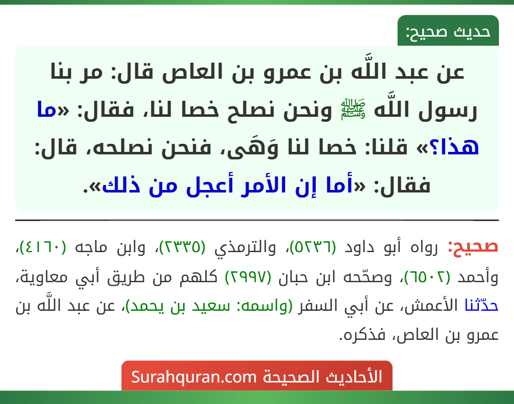عن عبد اللَّه بن عمرو بن العاص قال: مر بنا رسول اللَّه ﷺ ونحن نصلح خصا لنا، فقال: «ما هذا؟» قلنا: خصا لنا وَهَى، فنحن نصلحه، قال: فقال: «أما إن الأمر أعجل من ذلك».