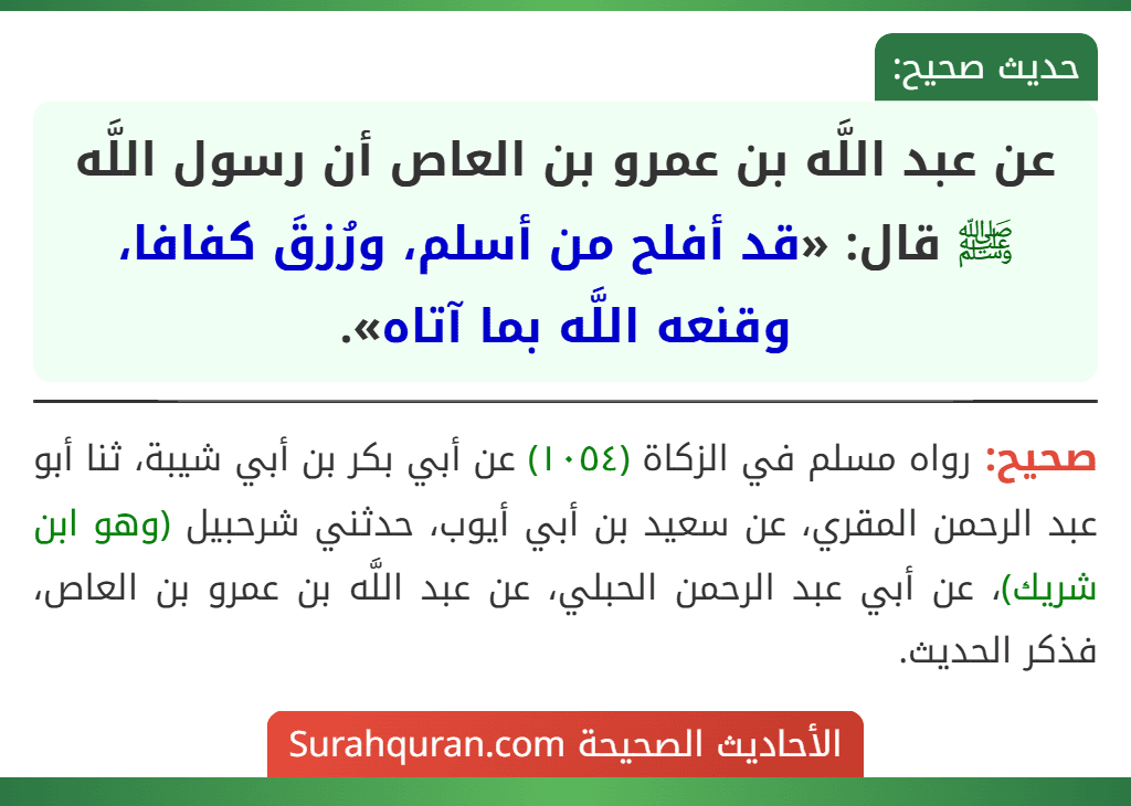 عن عبد اللَّه بن عمرو بن العاص أن رسول اللَّه ﷺ قال: «قد أفلح من أسلم، ورُزقَ كفافا، وقنعه اللَّه بما آتاه».