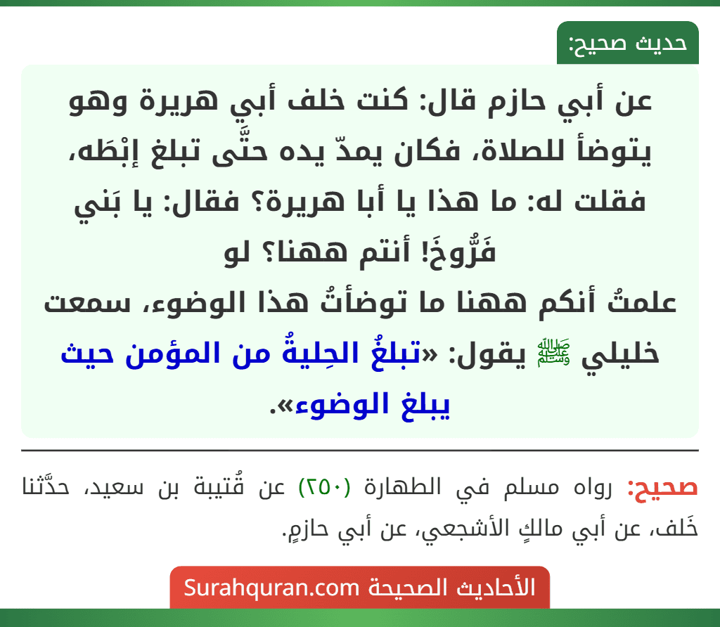 عن أبي حازم قال: كنت خلف أبي هريرة وهو يتوضأ للصلاة، فكان يمدّ يده حتَّى تبلغ إبْطَه، فقلت له: ما هذا يا أبا هريرة؟ فقال: يا بَني فَرُّوخَ! أنتم ههنا؟ لو
علمتُ أنكم ههنا ما توضأتُ هذا الوضوء، سمعت خليلي ﷺ يقول: «تبلغُ الحِليةُ من المؤمن حيث يبلغ الوضوء». عن أبي حازم قال: كنت خلف أبي هريرة وهو يتوضأ للصلاة، فكان يمدّ يده حتَّى تبلغ إبْطَه، فقلت له: ما هذا يا أبا هريرة؟ فقال: يا بَني فَرُّوخَ! أنتم ههنا؟ لو
علمتُ أنكم ههنا ما توضأتُ هذا الوضوء، سمعت خليلي ﷺ يقول: «تبلغُ الحِليةُ من المؤمن حيث يبلغ الوضوء».
