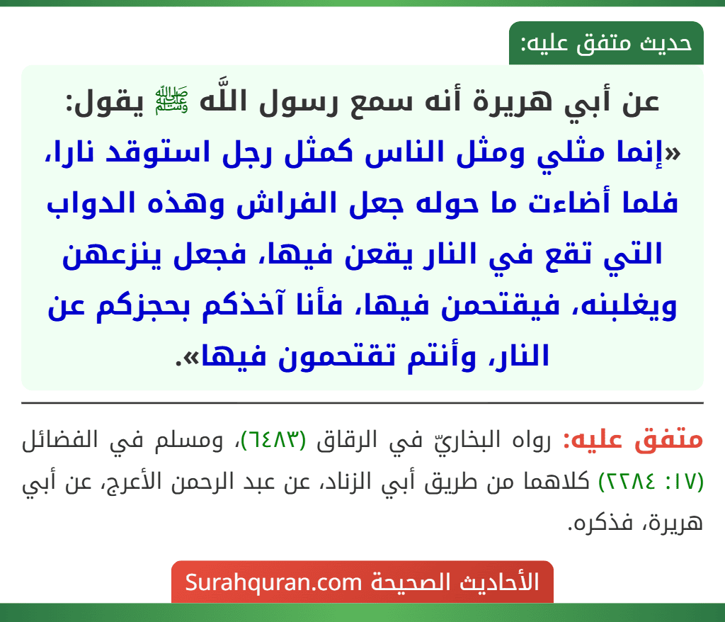 عن أبي هريرة أنه سمع رسول اللَّه ﷺ يقول: «إنما مثلي ومثل الناس كمثل رجل استوقد نارا، فلما أضاءت ما حوله جعل الفراش وهذه الدواب التي تقع في النار يقعن فيها، فجعل ينزعهن ويغلبنه، فيقتحمن فيها، فأنا آخذكم بحجزكم عن النار، وأنتم تقتحمون فيها».