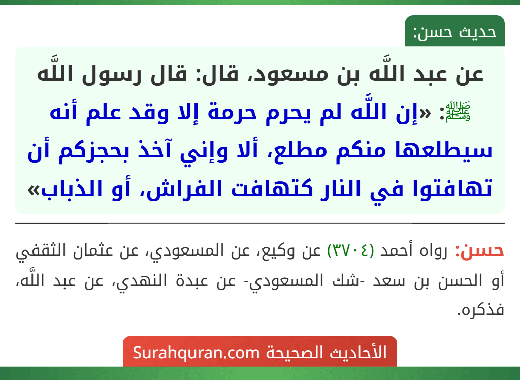 عن عبد اللَّه بن مسعود، قال: قال رسول اللَّه ﷺ: «إن اللَّه لم يحرم حرمة إلا وقد علم أنه سيطلعها منكم مطلع، ألا وإني آخذ بحجزكم أن تهافتوا في النار كتهافت الفراش، أو الذباب»