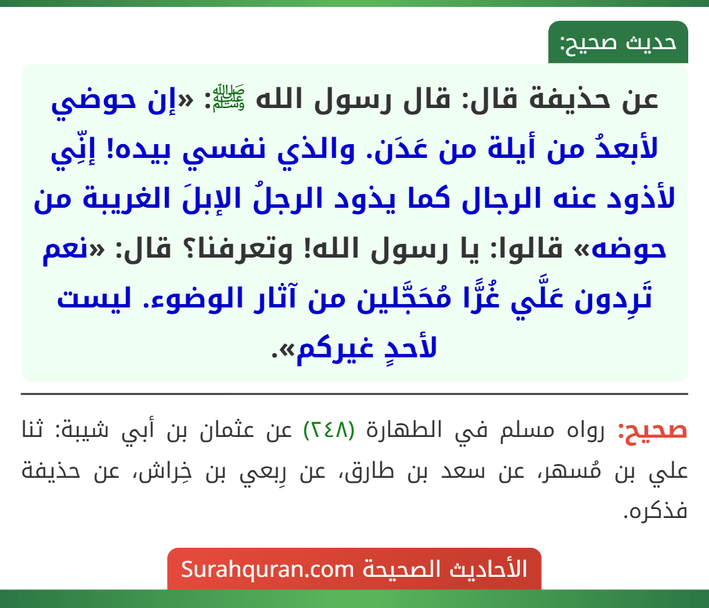 عن حذيفة قال: قال رسول الله ﷺ: «إن حوضي لأبعدُ من أيلة من عَدَن. والذي نفسي بيده! إنِّي لأذود عنه الرجال كما يذود الرجلُ الإبلَ الغريبة من حوضه» قالوا: يا رسول الله! وتعرفنا؟ قال: «نعم تَرِدون عَلَّي غُرًّا مُحَجَّلين من آثار الوضوء. ليست لأحدٍ غيركم». عن حذيفة قال: قال رسول الله ﷺ: «إن حوضي لأبعدُ من أيلة من عَدَن. والذي نفسي بيده! إنِّي لأذود عنه الرجال كما يذود الرجلُ الإبلَ الغريبة من حوضه» قالوا: يا رسول الله! وتعرفنا؟ قال: «نعم تَرِدون عَلَّي غُرًّا مُحَجَّلين من آثار الوضوء. ليست لأحدٍ غيركم».