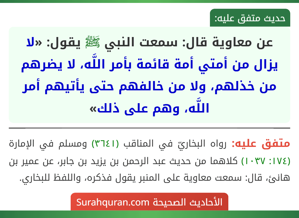 عن معاوية قال: سمعت النبي ﷺ يقول: «لا يزال من أمتي أمة قائمة بأمر اللَّه، لا يضرهم من خذلهم، ولا من خالفهم حتى يأتيهم أمر اللَّه، وهم على ذلك» عن معاوية قال: سمعت النبي ﷺ يقول: «لا يزال من أمتي أمة قائمة بأمر اللَّه، لا يضرهم من خذلهم، ولا من خالفهم حتى يأتيهم أمر اللَّه، وهم على ذلك»