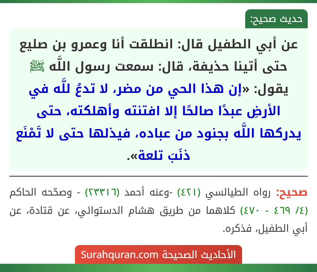 عن أبي الطفيل قال: انطلقت أنا وعمرو بن صليع حتى أتينا حذيفة، قال: سمعت رسول اللَّه ﷺ يقول: «إن هذا الحي من مضر، لا تدعُ للَّه في الأرضِ عبدًا صالحًا إلا افتنته وأهلكته، حتى يدركها اللَّه بجنود من عباده، فيذلها حتى لا تَمْنَع ذنَبَ تلعة». عن أبي الطفيل قال: انطلقت أنا وعمرو بن صليع حتى أتينا حذيفة، قال: سمعت رسول اللَّه ﷺ يقول: «إن هذا الحي من مضر، لا تدعُ للَّه في الأرضِ عبدًا صالحًا إلا افتنته وأهلكته، حتى يدركها اللَّه بجنود من عباده، فيذلها حتى لا تَمْنَع ذنَبَ تلعة».