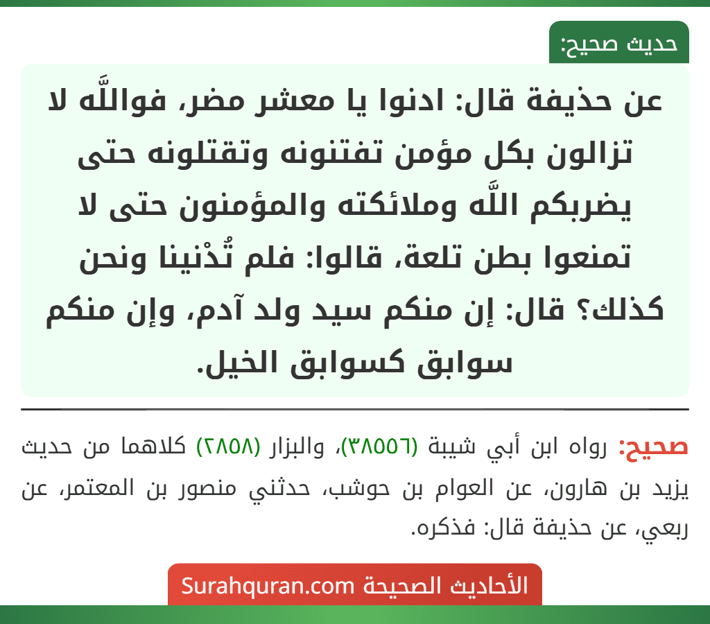 عن حذيفة قال: ادنوا يا معشر مضر، فواللَّه لا تزالون بكل مؤمن تفتنونه وتقتلونه حتى يضربكم اللَّه وملائكته والمؤمنون حتى لا تمنعوا بطن تلعة، قالوا: فلم تُدْنينا ونحن كذلك؟ قال: إن منكم سيد ولد آدم، وإن منكم سوابق كسوابق الخيل. عن حذيفة قال: ادنوا يا معشر مضر، فواللَّه لا تزالون بكل مؤمن تفتنونه وتقتلونه حتى يضربكم اللَّه وملائكته والمؤمنون حتى لا تمنعوا بطن تلعة، قالوا: فلم تُدْنينا ونحن كذلك؟ قال: إن منكم سيد ولد آدم، وإن منكم سوابق كسوابق الخيل.