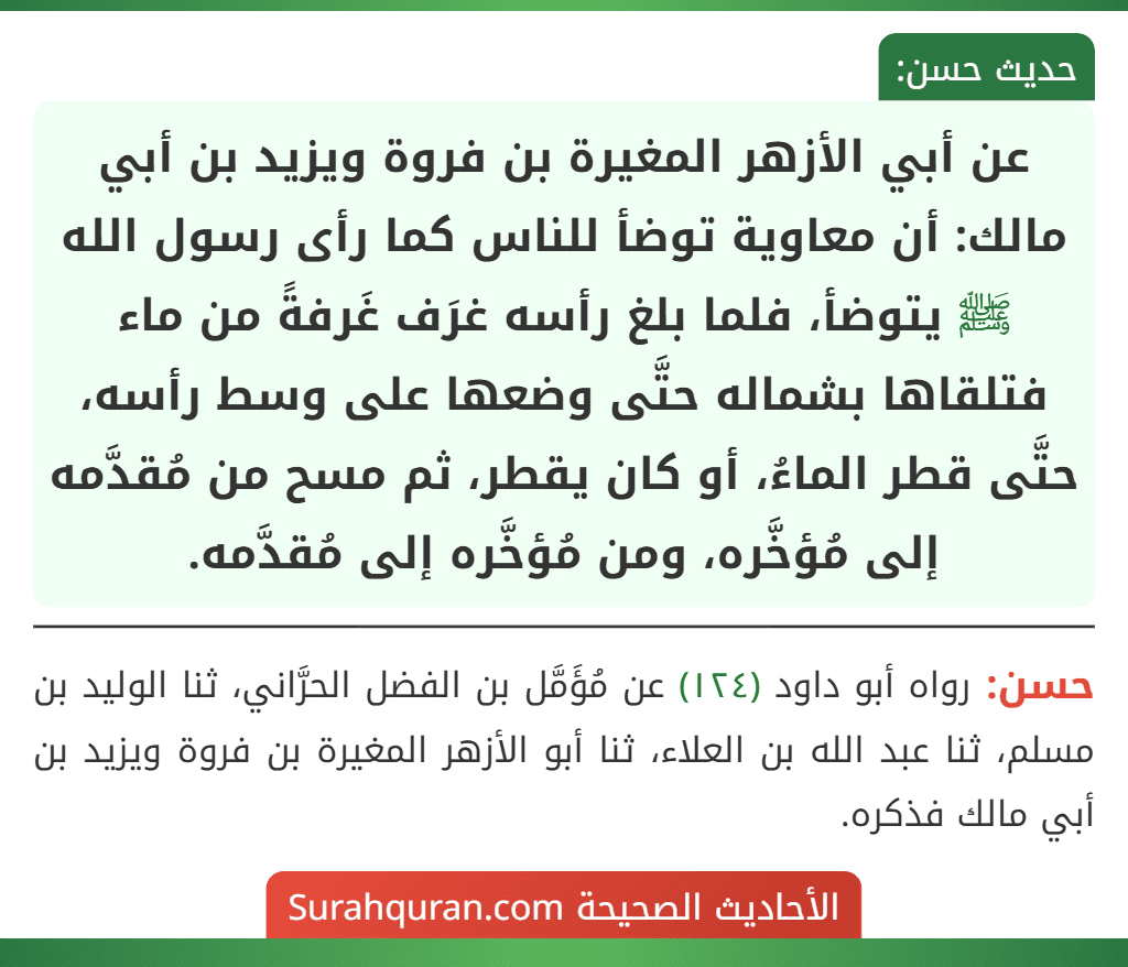 عن أبي الأزهر المغيرة بن فروة ويزيد بن أبي مالك: أن معاوية توضأ للناس كما رأى رسول الله ﷺ يتوضأ، فلما بلغ رأسه غرَف غَرفةً من ماء فتلقاها بشماله حتَّى وضعها على وسط رأسه، حتَّى قطر الماءُ، أو كان يقطر، ثم مسح من مُقدَّمه إلى مُؤخَّره، ومن مُؤخَّره إلى مُقدَّمه. عن أبي الأزهر المغيرة بن فروة ويزيد بن أبي مالك: أن معاوية توضأ للناس كما رأى رسول الله ﷺ يتوضأ، فلما بلغ رأسه غرَف غَرفةً من ماء فتلقاها بشماله حتَّى وضعها على وسط رأسه، حتَّى قطر الماءُ، أو كان يقطر، ثم مسح من مُقدَّمه إلى مُؤخَّره، ومن مُؤخَّره إلى مُقدَّمه.