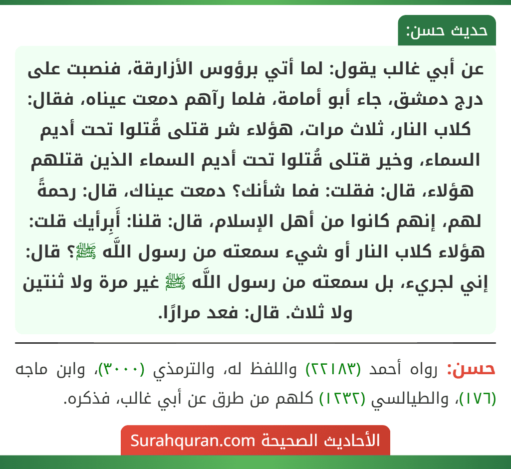 عن أبي غالب يقول: لما أتي برؤوس الأزارقة، فنصبت على درج دمشق، جاء أبو أمامة، فلما رآهم دمعت عيناه، فقال: كلاب النار، ثلاث مرات، هؤلاء شر قتلى قُتلوا تحت أديم السماء، وخير قتلى قُتلوا تحت أديم السماء الذين قتلهم هؤلاء، قال: فقلت: فما شأنك؟ دمعت عيناك، قال: رحمةً لهم، إنهم كانوا من أهل الإسلام، قال: قلنا: أَبِرأيك قلت: هؤلاء كلاب النار أو شيء سمعته من رسول اللَّه ﷺ؟ قال: إني لجريء، بل سمعته من رسول اللَّه ﷺ غير مرة ولا ثنتين ولا ثلاث. قال: فعد مرارًا.