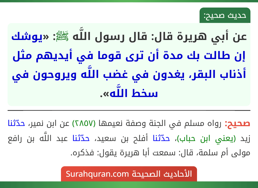 عن أبي هريرة قال: قال رسول اللَّه ﷺ: «يوشك إن طالت بك مدة أن ترى قوما في أيديهم مثل أذناب البقر، يغدون في غضب اللَّه ويروحون في سخط اللَّه». عن أبي هريرة قال: قال رسول اللَّه ﷺ: «يوشك إن طالت بك مدة أن ترى قوما في أيديهم مثل أذناب البقر، يغدون في غضب اللَّه ويروحون في سخط اللَّه».