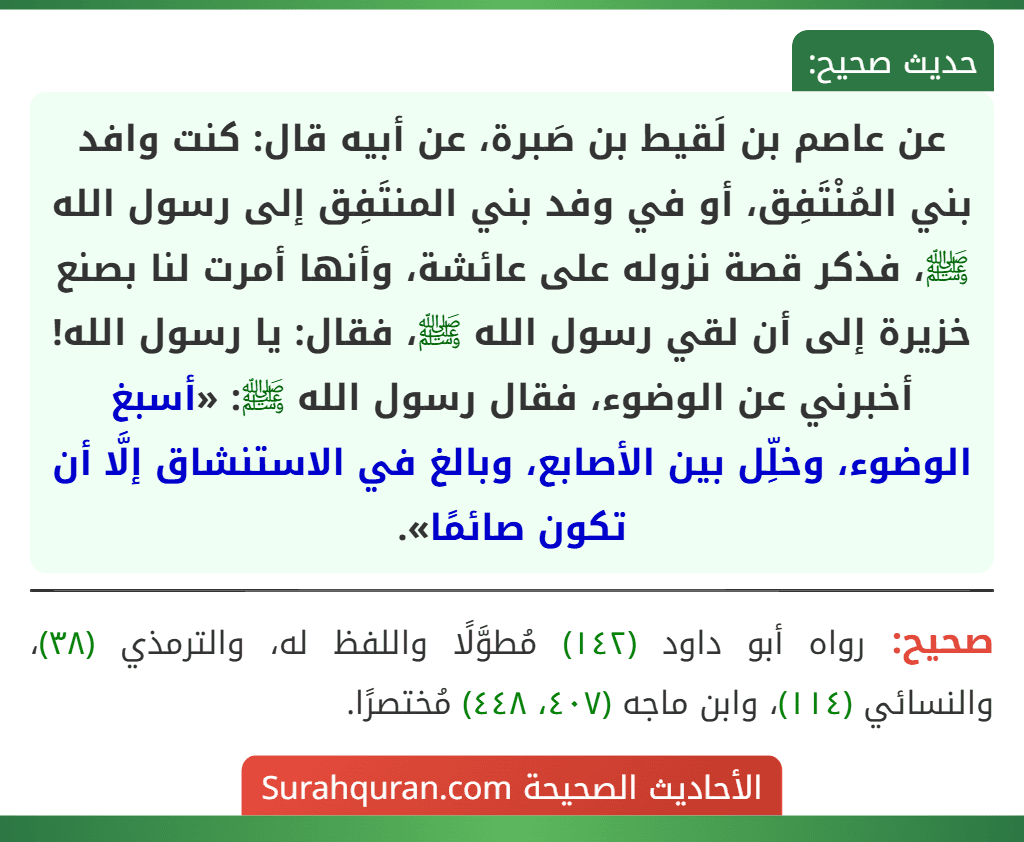 عن عاصم بن لَقيط بن صَبرة، عن أبيه قال: كنت وافد بني المُنْتَفِق، أو في وفد بني المنتَفِق إلى رسول الله ﷺ، فذكر قصة نزوله على عائشة، وأنها أمرت لنا بصنع خزيرة إلى أن لقي رسول الله ﷺ، فقال: يا رسول الله! أخبرني عن الوضوء، فقال رسول الله ﷺ: «أسبغ الوضوء، وخلِّل بين الأصابع، وبالغ في الاستنشاق إلَّا أن تكون صائمًا».