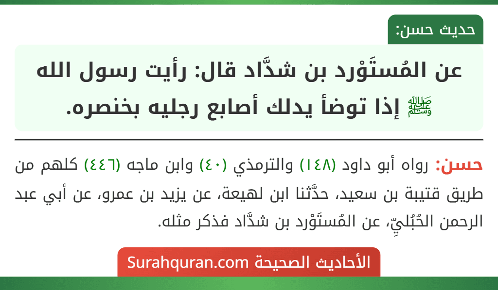 عن المُستَوْرد بن شدَّاد قال: رأيت رسول الله ﷺ إذا توضأ يدلك أصابع رجليه بخنصره.