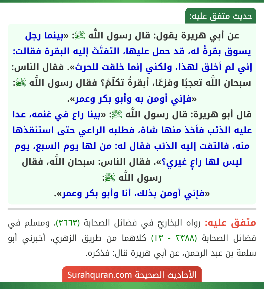 عن أبي هريرة يقول: قال رسول اللَّه ﷺ: «بينما رجل يسوق بقرةً له، قد حمل عليها، التفتَتْ إليه البقرة فقالت: إني لم أخلق لهذا، ولكني إنما خلقت للحرث». فقال الناس: سبحان اللَّه تعجبًا وفزعًا، أبقرةً تكلّمُ؟ فقال رسول اللَّه ﷺ: «فإني أومن به وأبو بكر وعمر».
قال أبو هريرة: قال رسول اللَّه ﷺ: «بينا راع في غنمه، عدا عليه الذئب فأخذ منها شاة، فطلبه الراعي حتى استنقذها منه، فالتفت إليه الذئب فقال له: من لها يوم السبع، يوم ليس لها راعٍ غيري؟». فقال الناس: سبحان اللَّه، فقال رسول اللَّه ﷺ:
«فإني أومن بذلك، أنا وأبو بكر وعمر».