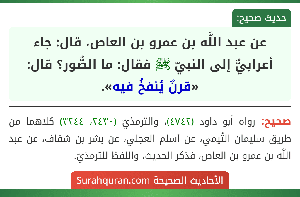 عن عبد اللَّه بن عمرو بن العاص، قال: جاء أعرابيٌّ إلى النبيّ ﷺ فقال: ما الصُّور؟ قال: «قرنٌ يُنفخُ فيه».