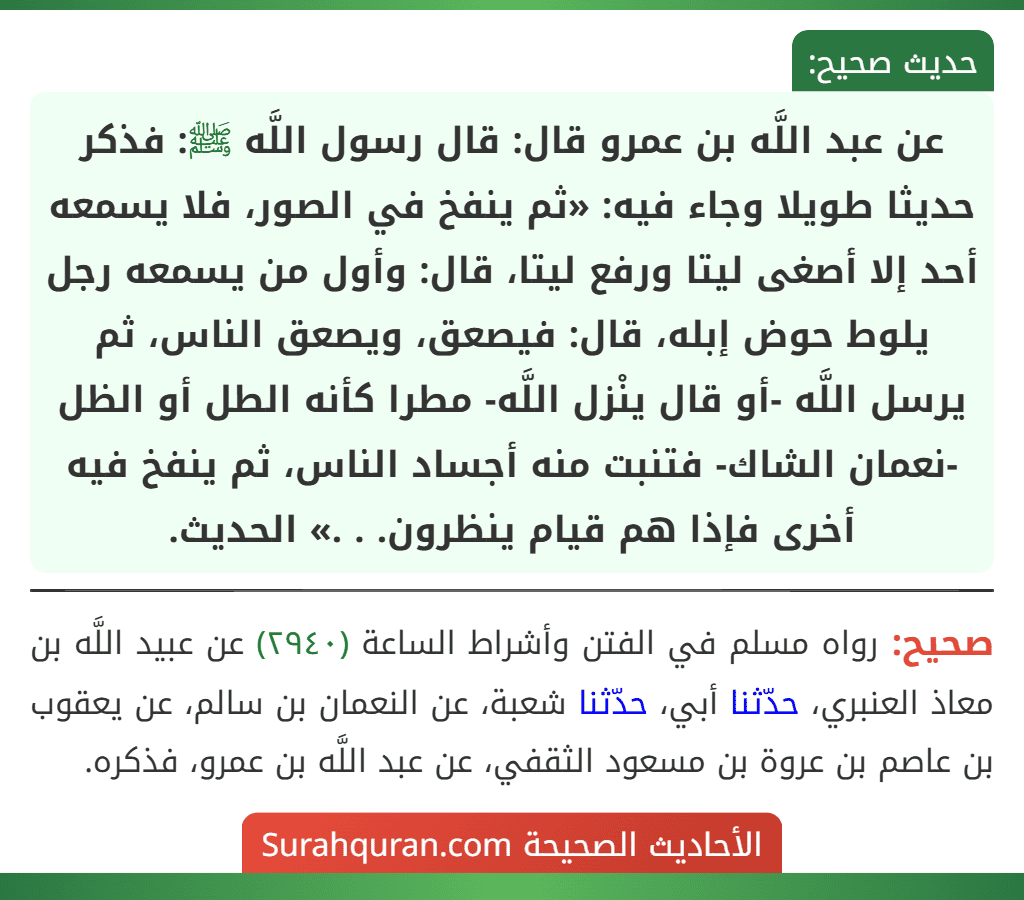عن عبد اللَّه بن عمرو قال: قال رسول اللَّه ﷺ: فذكر حديثا طويلا وجاء فيه: «ثم ينفخ في الصور، فلا يسمعه أحد إلا أصغى ليتا ورفع ليتا، قال: وأول من يسمعه رجل يلوط حوض إبله، قال: فيصعق، ويصعق الناس، ثم يرسل اللَّه -أو قال ينْزل اللَّه- مطرا كأنه الطل أو الظل -نعمان الشاك- فتنبت منه أجساد الناس، ثم ينفخ فيه
أخرى فإذا هم قيام ينظرون. . .» الحديث.
