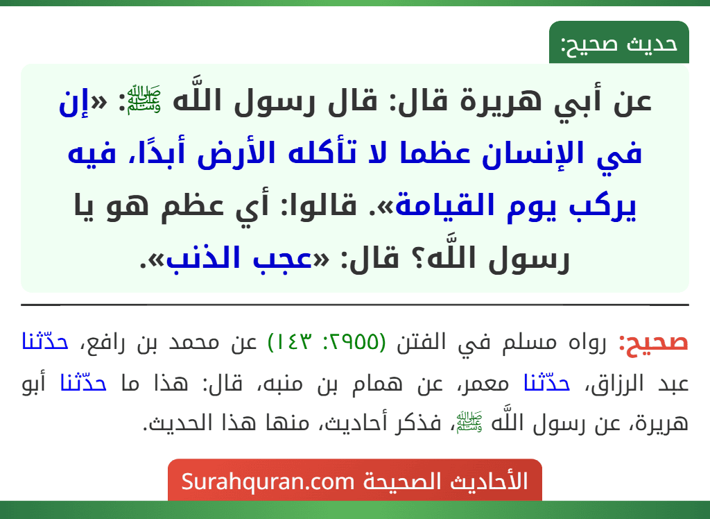 عن أبي هريرة قال: قال رسول اللَّه ﷺ: «إن في الإنسان عظما لا تأكله الأرض أبدًا، فيه يركب يوم القيامة». قالوا: أي عظم هو يا رسول اللَّه؟ قال: «عجب الذنب».