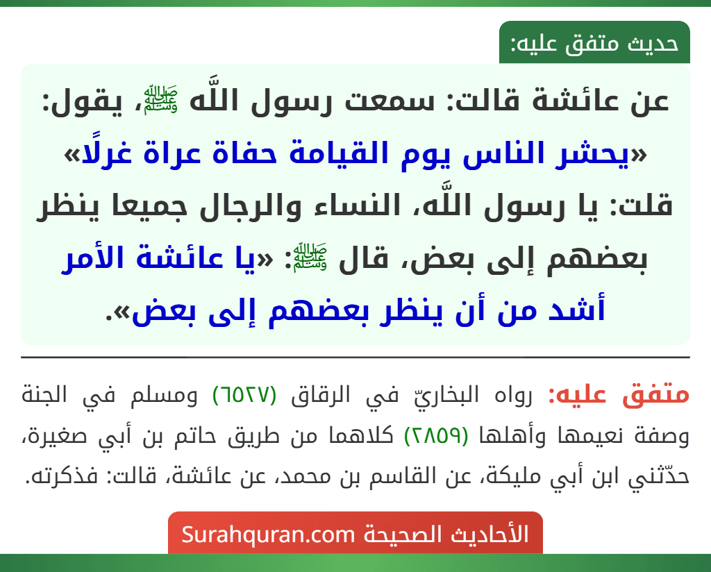 عن عائشة قالت: سمعت رسول اللَّه ﷺ، يقول: «يحشر الناس يوم القيامة حفاة عراة غرلًا» قلت: يا رسول اللَّه، النساء والرجال جميعا ينظر بعضهم إلى بعض، قال ﷺ: «يا عائشة الأمر أشد من أن ينظر بعضهم إلى بعض».