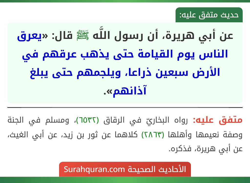 عن أبي هريرة، أن رسول اللَّه ﷺ قال: «يعرق الناس يوم القيامة حتى يذهب عرقهم في الأرض سبعين ذراعا، ويلجمهم حتى يبلغ آذانهم». عن أبي هريرة، أن رسول اللَّه ﷺ قال: «يعرق الناس يوم القيامة حتى يذهب عرقهم في الأرض سبعين ذراعا، ويلجمهم حتى يبلغ آذانهم».