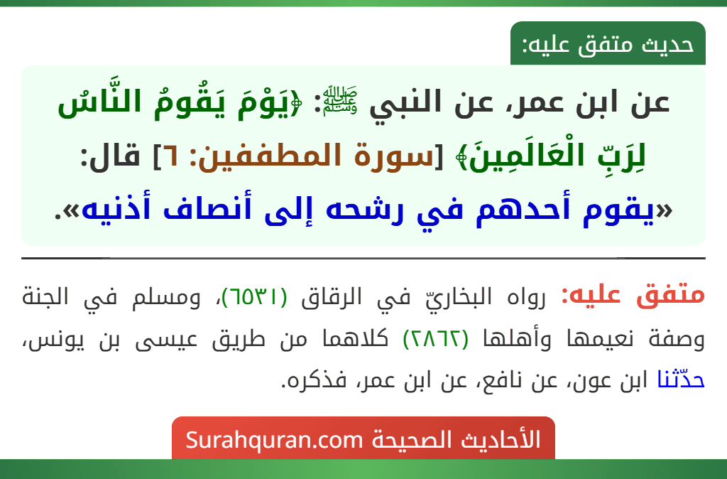 عن ابن عمر، عن النبي ﷺ: ﴿يَوْمَ يَقُومُ النَّاسُ لِرَبِّ الْعَالَمِينَ﴾ [سورة المطففين: ٦] قال: «يقوم أحدهم في رشحه إلى أنصاف أذنيه».
