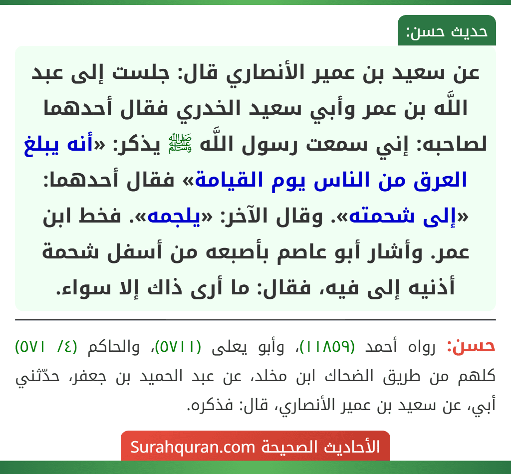 عن سعيد بن عمير الأنصاري قال: جلست إلى عبد اللَّه بن عمر وأبي سعيد الخدري فقال أحدهما لصاحبه: إني سمعت رسول اللَّه ﷺ يذكر: «أنه يبلغ العرق من الناس يوم القيامة» فقال أحدهما: «إلى شحمته». وقال الآخر: «يلجمه». فخط ابن عمر. وأشار أبو عاصم بأصبعه من أسفل شحمة أذنيه إلى فيه، فقال: ما أرى ذاك إلا سواء.
