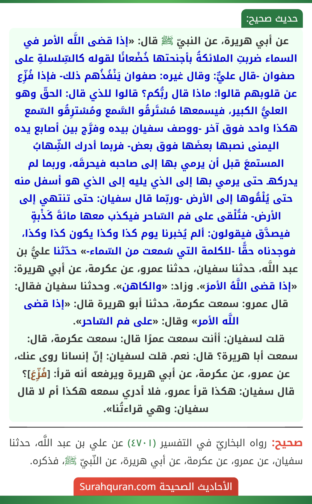 عن أبي هريرة، عن النبيّ ﷺ قال: «إذا قضى اللَّه الأمر في السماء ضربتِ الملائكةُ بأجنحتها خُضْعانًا لقوله كالسِّلسلةِ على صفوان -قال عليٌّ: وقال غيره: صفوان يَنْفُذُهم ذلك- فإذا فُزِّع عن قلوبهم قالوا: ماذا قال ربُّكم؟ قالوا للذي قال: الحقّ وهو العليُّ الكبير، فيسمعها مُسْتَرقُو السَّمع ومُسْترِقُو السّمع هكذا واحد فوق آخر -ووصف سفيان بيده وفرَّج بين أصابع يده اليمنى نصبها بعضَها فوق بعض- فربما أدرك الشِّهابُ المستمعَ قبل أن يرمي بها إلى صاحبه فيحرقَه، وربما لم يدركهـ حتى يرمي بها إلى الذي يليه إلى الذي هو أسفل منه حتى يُلْقُوها إلى الأرض -وربّما قال سفيان: حتى تنتهي إلى الأرض- فتُلْقى على فم السّاحر فيكذب معها مائةَ كَذْبةٍ فيصدَّق فيقولون: ألم يُخبرنا يوم كذا وكذا يكون كذا وكذا، فوجدناه حقًّا -للكلمة التي سُمعت من السّماء-» حدّثنا عليُّ بن عبد اللَّه، حدثنا سفيان، حدثنا عمرو، عن عكرمة، عن أبي هريرة: «إذا قضى اللَّهُ الأمرَ». وزاد: «والكاهن». وحدثنا سفيان فقال: قال عمرو: سمعت عكرمة، حدثنا أبو هريرة قال: «إذا قضى اللَّه الأمر» وقال: «على فم السّاحر».
قلت لسفيان: أأنت سمعت عمرًا قال: سمعت عكرمة، قال: سمعت أبا هريرة؟ قال: نعم. قلت لسفيان: إنّ إنسانا روى عنك، عن عمرو، عن عكرمة، عن أبي هريرة ويرفعه أنه قرأ: [فُزِّعَ]؟ قال سفيان: هكذا قرأ عمرو، فلا أدري سمعه هكذا أم لا قال سفيان: وهي قراءتُنا».