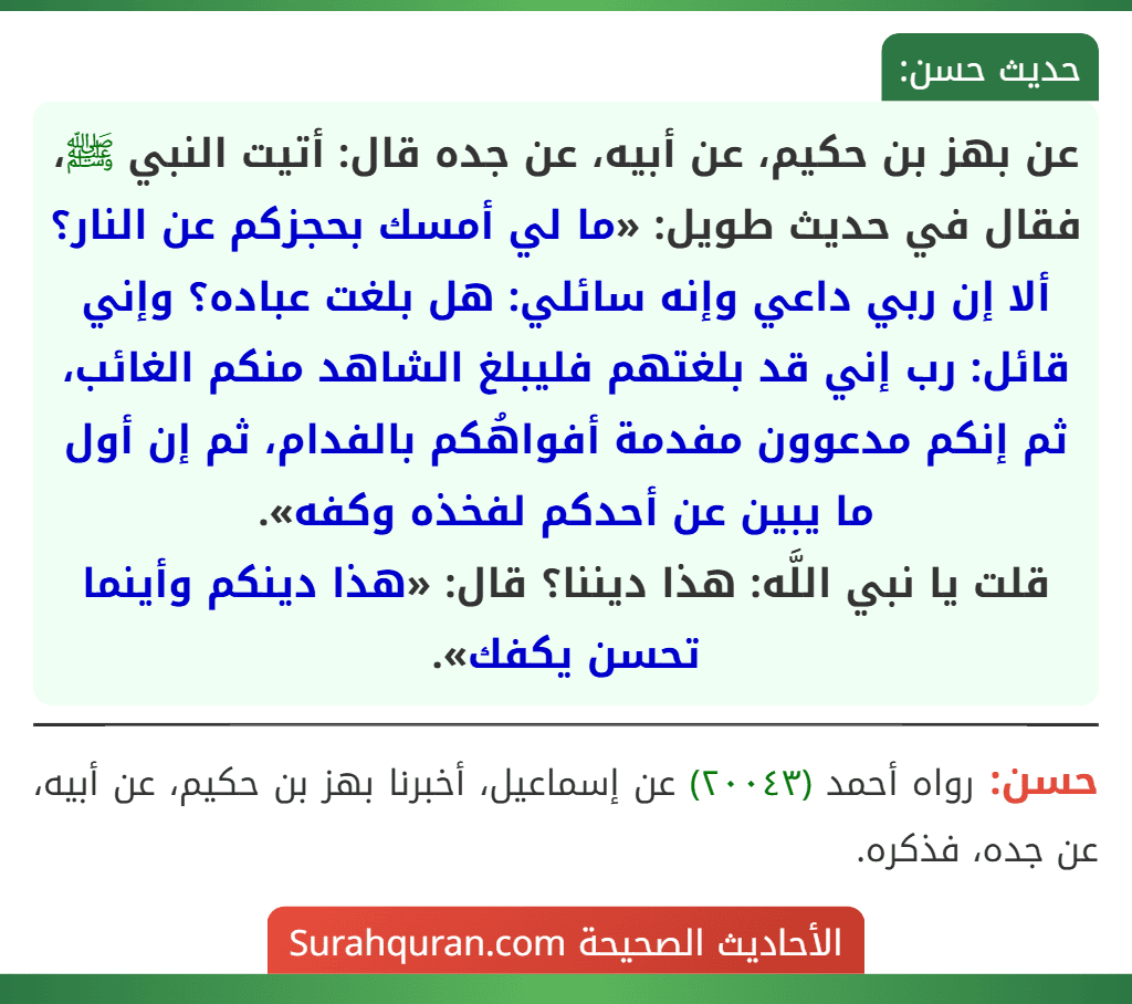 عن بهز بن حكيم، عن أبيه، عن جده قال: أتيت النبي ﷺ، فقال في حديث طويل: «ما لي أمسك بحجزكم عن النار؟ ألا إن ربي داعي وإنه سائلي: هل بلغت عباده؟ وإني قائل: رب إني قد بلغتهم فليبلغ الشاهد منكم الغائب، ثم إنكم مدعوون مفدمة أفواهُكم بالفدام، ثم إن أول ما يبين عن أحدكم لفخذه وكفه».
قلت يا نبي اللَّه: هذا ديننا؟ قال: «هذا دينكم وأينما تحسن يكفك».