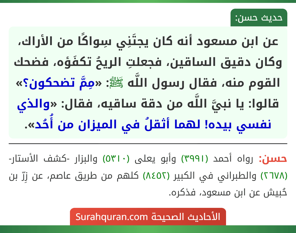 عن ابن مسعود أنه كان يجتَنِي سِواكًا من الأراك، وكان دقيق الساقين، فجعلتِ الريحُ تكفَؤه، فضحك القوم منه، فقال رسول اللَّه ﷺ: «مِمَّ تضحكون؟» قالوا: يا نبيَّ اللَّه من دقة ساقيه، فقال: «والذي نفسي بيده! لهما أثقلُ في الميزان من أُحُد».