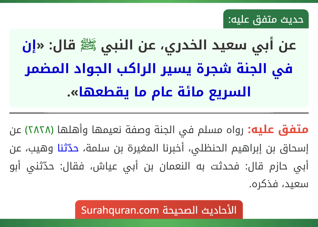 عن أبي سعيد الخدري، عن النبي ﷺ قال: «إن في الجنة شجرة يسير الراكب الجواد المضمر السريع مائة عام ما يقطعها».
