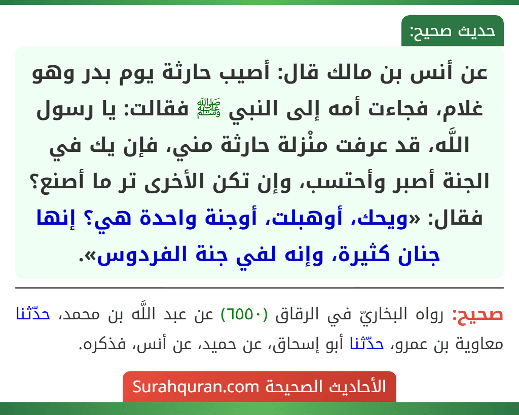 عن أنس بن مالك قال: أصيب حارثة يوم بدر وهو غلام، فجاءت أمه إلى النبي ﷺ فقالت: يا رسول اللَّه، قد عرفت منْزلة حارثة مني، فإن يك في الجنة أصبر وأحتسب، وإن تكن الأخرى تر ما أصنع؟ فقال: «ويحك، أوهبلت، أوجنة واحدة هي؟ إنها جنان كثيرة، وإنه لفي جنة الفردوس».