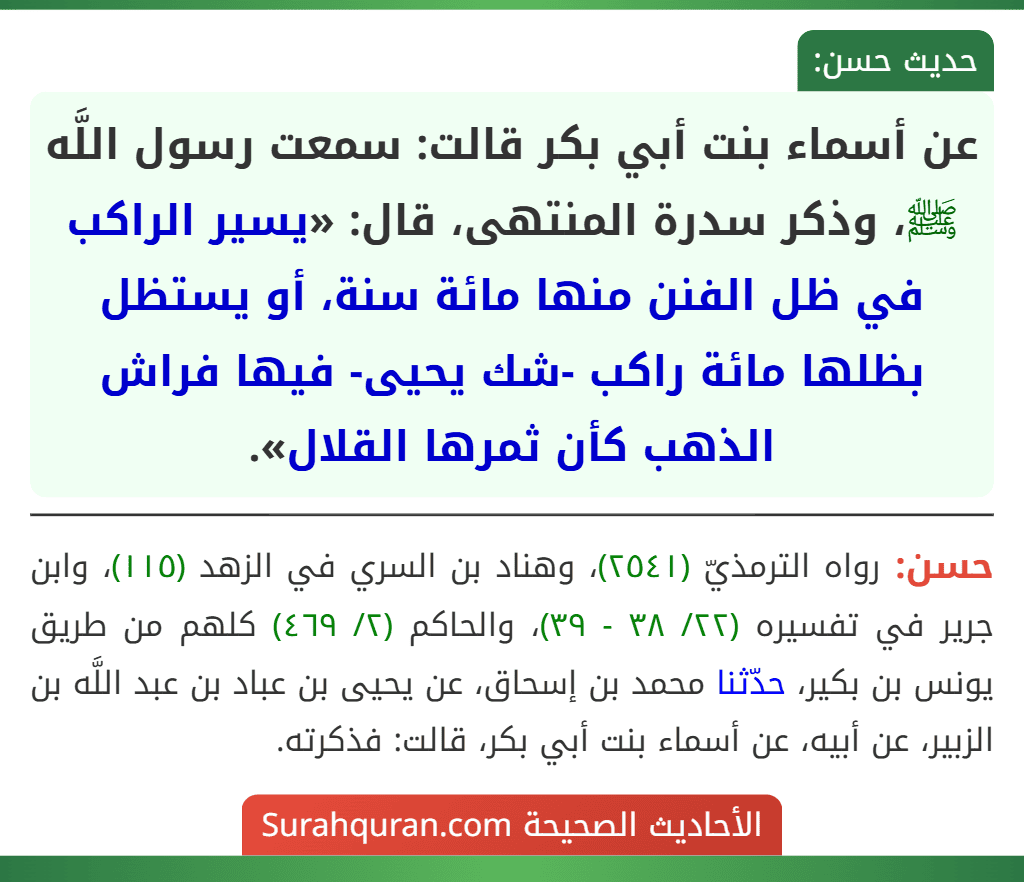 عن أسماء بنت أبي بكر قالت: سمعت رسول اللَّه ﷺ، وذكر سدرة المنتهى، قال: «يسير الراكب في ظل الفنن منها مائة سنة، أو يستظل بظلها مائة راكب -شك يحيى- فيها فراش الذهب كأن ثمرها القلال».