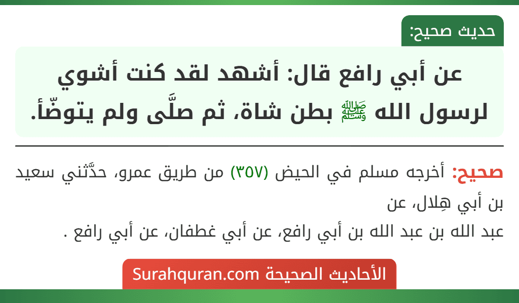 عن أبي رافع قال: أشهد لقد كنت أشوي لرسول الله ﷺ بطن شاة، ثم صلَّى ولم يتوضّأ.