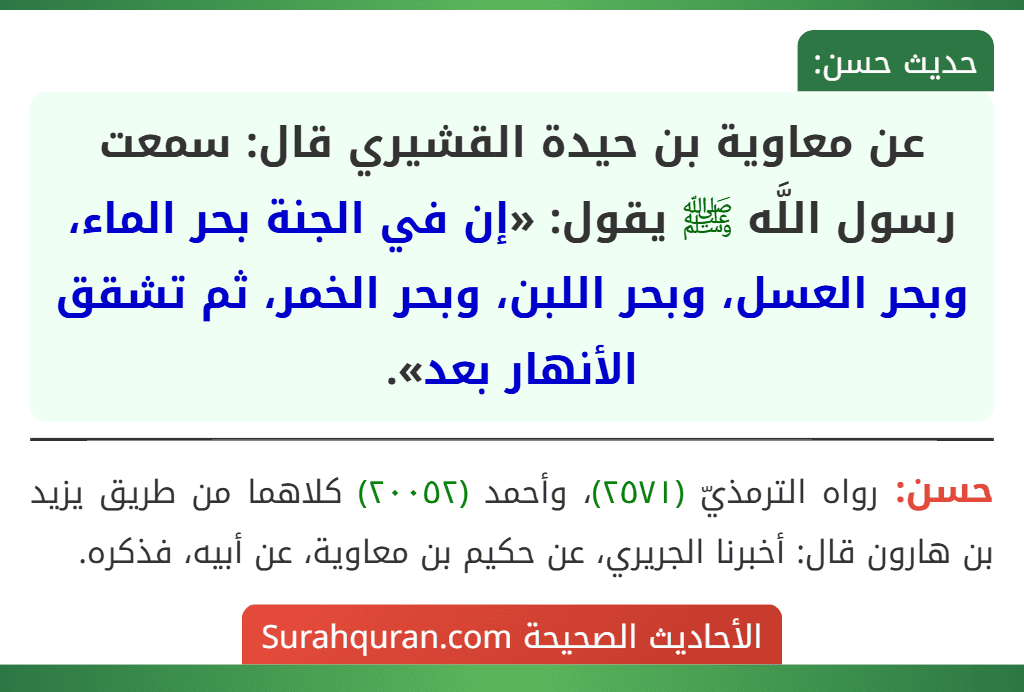 عن معاوية بن حيدة القشيري قال: سمعت رسول اللَّه ﷺ يقول: «إن في الجنة بحر الماء، وبحر العسل، وبحر اللبن، وبحر الخمر، ثم تشقق الأنهار بعد».