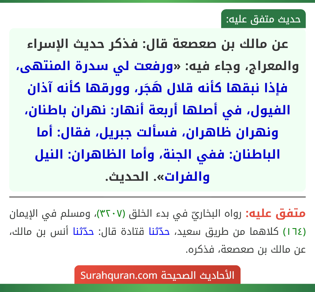 عن مالك بن صعصعة قال: فذكر حديث الإسراء والمعراج، وجاء فيه: «ورفعت لي سدرة المنتهى، فإذا نبقها كأنه قلال هَجَر، وورقها كأنه آذان الفيول، في أصلها أربعة أنهار: نهران باطنان، ونهران ظاهران، فسألت جبريل، فقال: أما الباطنان: ففي الجنة، وأما الظاهران: النيل والفرات». الحديث.