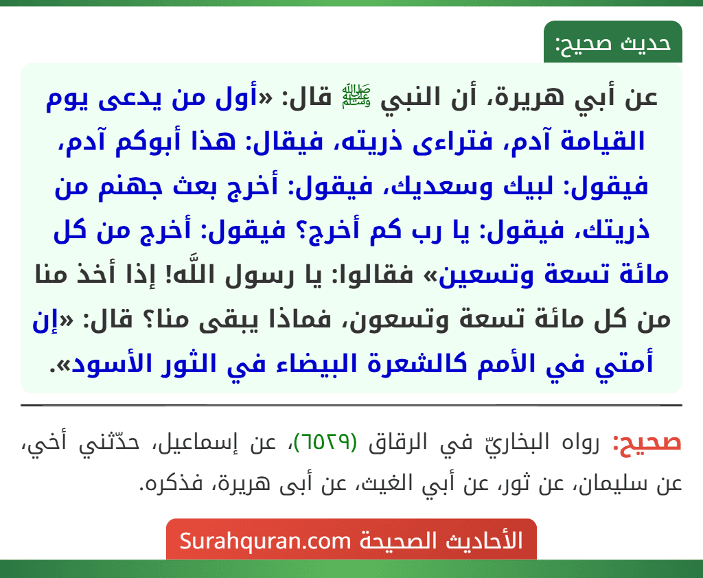 عن أبي هريرة، أن النبي ﷺ قال: «أول من يدعى يوم القيامة آدم، فتراءى ذريته، فيقال: هذا أبوكم آدم، فيقول: لبيك وسعديك، فيقول: أخرج بعث جهنم من ذريتك، فيقول: يا رب كم أخرج؟ فيقول: أخرج من كل مائة تسعة وتسعين» فقالوا: يا رسول اللَّه! إذا أخذ منا من كل مائة تسعة وتسعون، فماذا يبقى منا؟ قال: «إن أمتي في الأمم كالشعرة البيضاء في الثور الأسود».