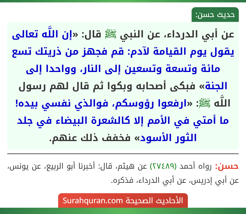 عن أبي الدرداء، عن النبي ﷺ قال: «إن اللَّه تعالى يقول يوم القيامة لآدم: قم فجهز من ذريتك تسع مائة وتسعة وتسعين إلى النار، وواحدا إلى الجنة» فبكى أصحابه وبكوا ثم قال لهم رسول اللَّه ﷺ: «ارفعوا رؤوسكم، فوالذي نفسي بيده! ما أمتي في الأمم إلا كالشعرة البيضاء في جلد الثور الأسود» فخفف ذلك عنهم.