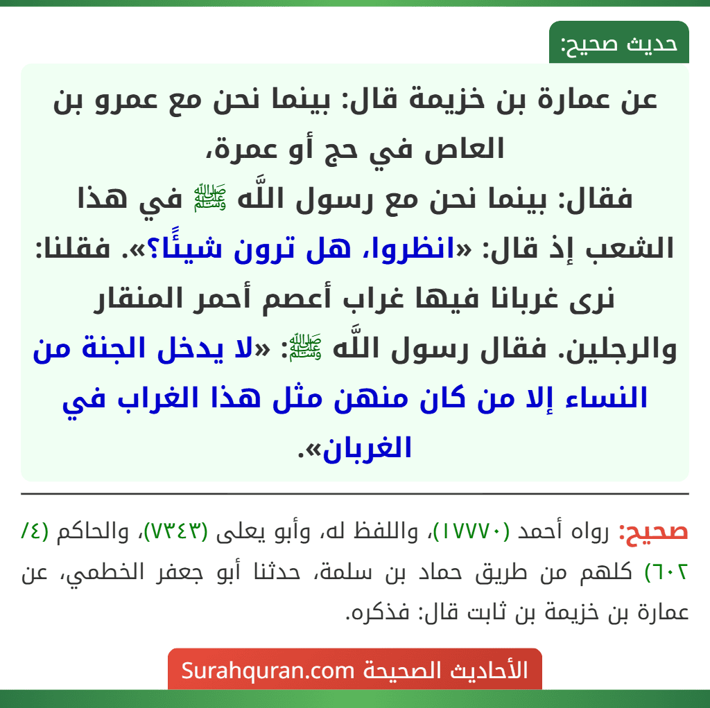 عن عمارة بن خزيمة قال: بينما نحن مع عمرو بن العاص في حج أو عمرة،
فقال: بينما نحن مع رسول اللَّه ﷺ في هذا الشعب إذ قال: «انظروا، هل ترون شيئًا؟». فقلنا: نرى غربانا فيها غراب أعصم أحمر المنقار والرجلين. فقال رسول اللَّه ﷺ: «لا يدخل الجنة من النساء إلا من كان منهن مثل هذا الغراب في الغربان».