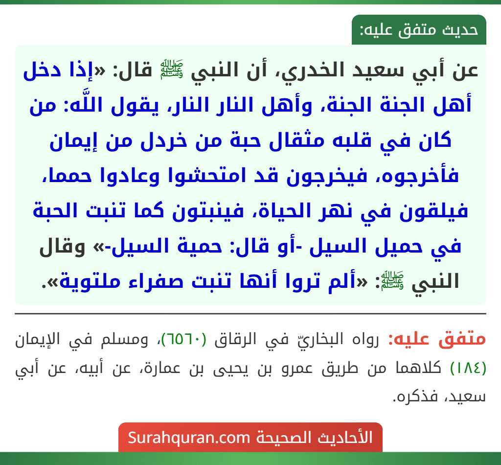 عن أبي سعيد الخدري، أن النبي ﷺ قال: «إذا دخل أهل الجنة الجنة، وأهل النار النار، يقول اللَّه: من كان في قلبه مثقال حبة من خردل من إيمان فأخرجوه، فيخرجون قد امتحشوا وعادوا حمما، فيلقون في نهر الحياة، فينبتون كما تنبت الحبة في حميل السيل -أو قال: حمية السيل-» وقال النبي ﷺ: «ألم تروا أنها تنبت صفراء ملتوية». عن أبي سعيد الخدري، أن النبي ﷺ قال: «إذا دخل أهل الجنة الجنة، وأهل النار النار، يقول اللَّه: من كان في قلبه مثقال حبة من خردل من إيمان فأخرجوه، فيخرجون قد امتحشوا وعادوا حمما، فيلقون في نهر الحياة، فينبتون كما تنبت الحبة في حميل السيل -أو قال: حمية السيل-» وقال النبي ﷺ: «ألم تروا أنها تنبت صفراء ملتوية».