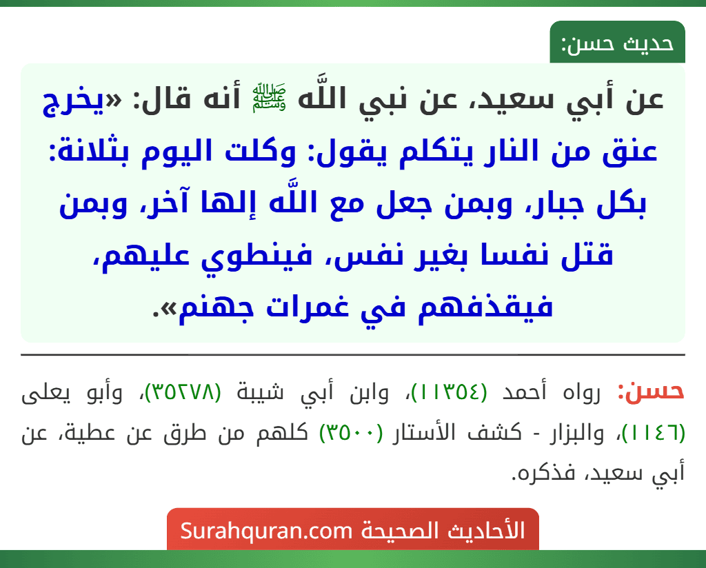 عن أبي سعيد، عن نبي اللَّه ﷺ أنه قال: «يخرج عنق من النار يتكلم يقول: وكلت اليوم بثلانة: بكل جبار، وبمن جعل مع اللَّه إلها آخر، وبمن قتل نفسا بغير نفس، فينطوي عليهم، فيقذفهم في غمرات جهنم».