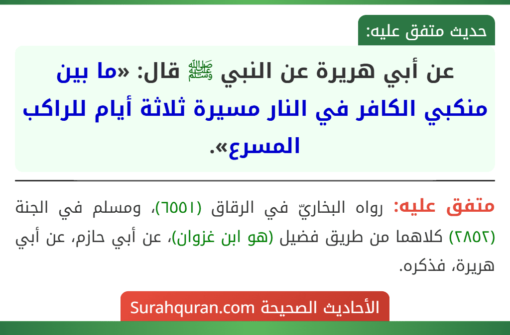 عن أبي هريرة عن النبي ﷺ قال: «ما بين منكبي الكافر في النار مسيرة ثلاثة أيام للراكب المسرع». عن أبي هريرة عن النبي ﷺ قال: «ما بين منكبي الكافر في النار مسيرة ثلاثة أيام للراكب المسرع».